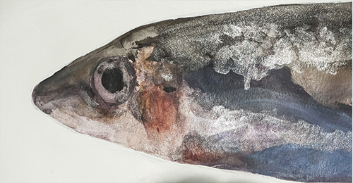 curso-dibujo-pintura-escultura-juvenil-cerdanyola-valles-sant-cugat